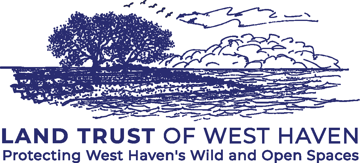 West Haven Land Trust